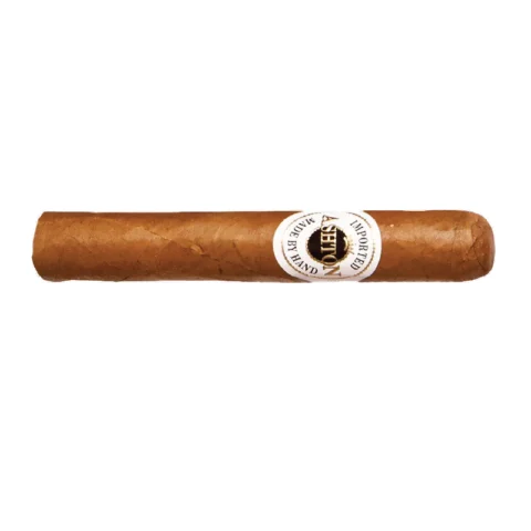 Ashton Classic Robusto